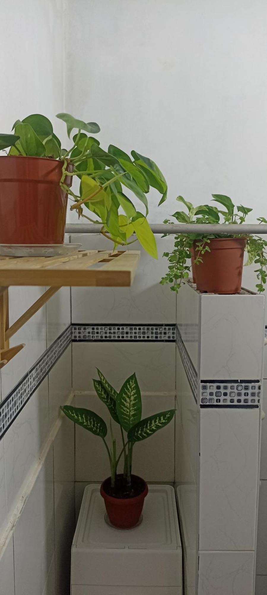 Casita Libertad Barranco Lägenhet Lima Exteriör bild